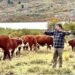 Más carne y menos emisiones: el modelo ganadero que demuestra que la sostenibilidad también es rentable