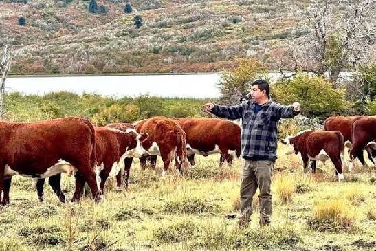 Más carne y menos emisiones: el modelo ganadero que demuestra que la sostenibilidad también es rentable