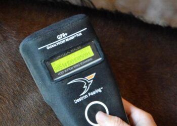 El Senasa implementa microchip obligatorio para equinos y refuerza controles en comercio internacional
