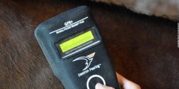 El Senasa implementa microchip obligatorio para equinos y refuerza controles en comercio internacional