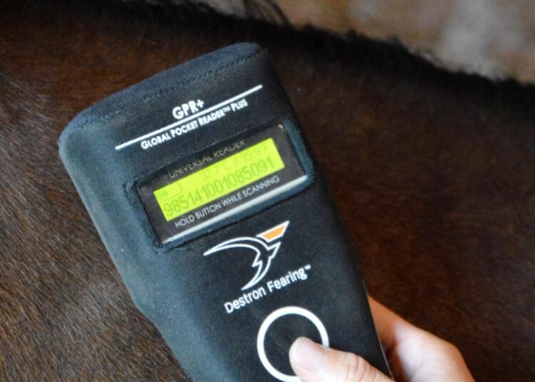 El Senasa implementa microchip obligatorio para equinos y refuerza controles en comercio internacional