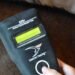 El Senasa implementa microchip obligatorio para equinos y refuerza controles en comercio internacional