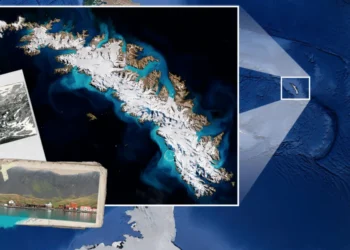 Malvinas: Tierra del Fuego solicitó la derogación del tratado de inversiones con el Reino Unido