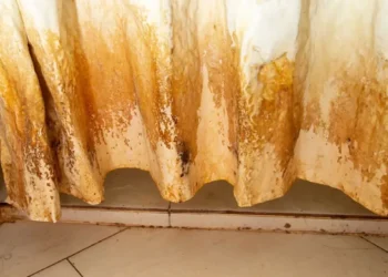Cómo eliminar el moho de la cortina del baño con dos ingredientes