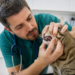 Consejos de un veterinario para mejorar la salud de los gatos