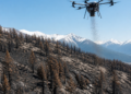 Siembra aérea en zona afectada por incendios: un ambicioso proyecto para restaurar 200 hectáreas de bosque en el Parque Nacional Lanín