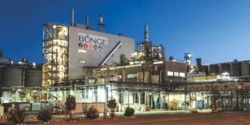 Bunge y BASF, dos gigantes bajo presión
